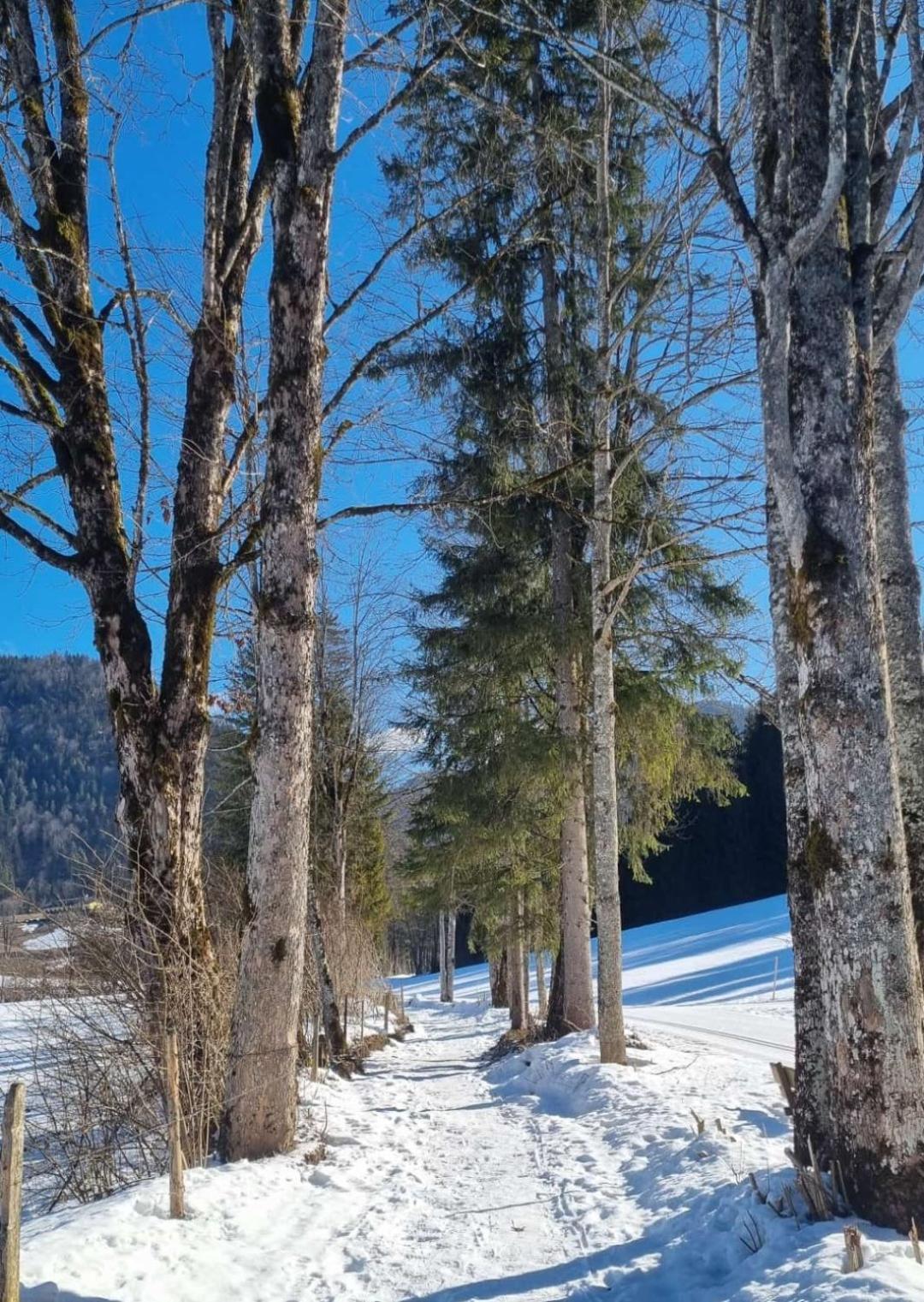 Апартаменти Bio Bauernhof Geisl Занкт-Ульріх-ам-Піллерзе Екстер'єр фото